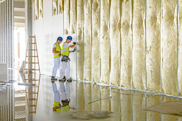 Best Insulation Maintenance and Repair in Oak Hills, PA